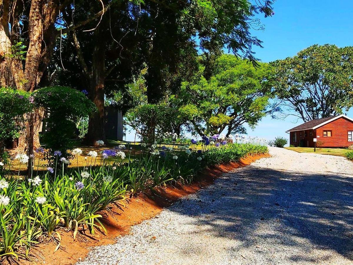 Forest View Cabins Tzaneen Εξωτερικό φωτογραφία