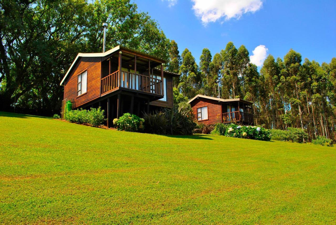 Forest View Cabins Tzaneen Εξωτερικό φωτογραφία