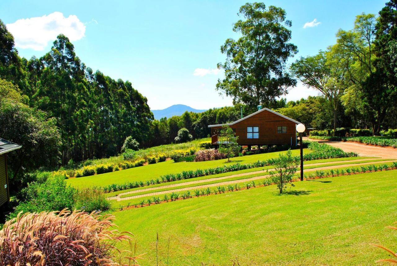 Forest View Cabins Tzaneen Εξωτερικό φωτογραφία