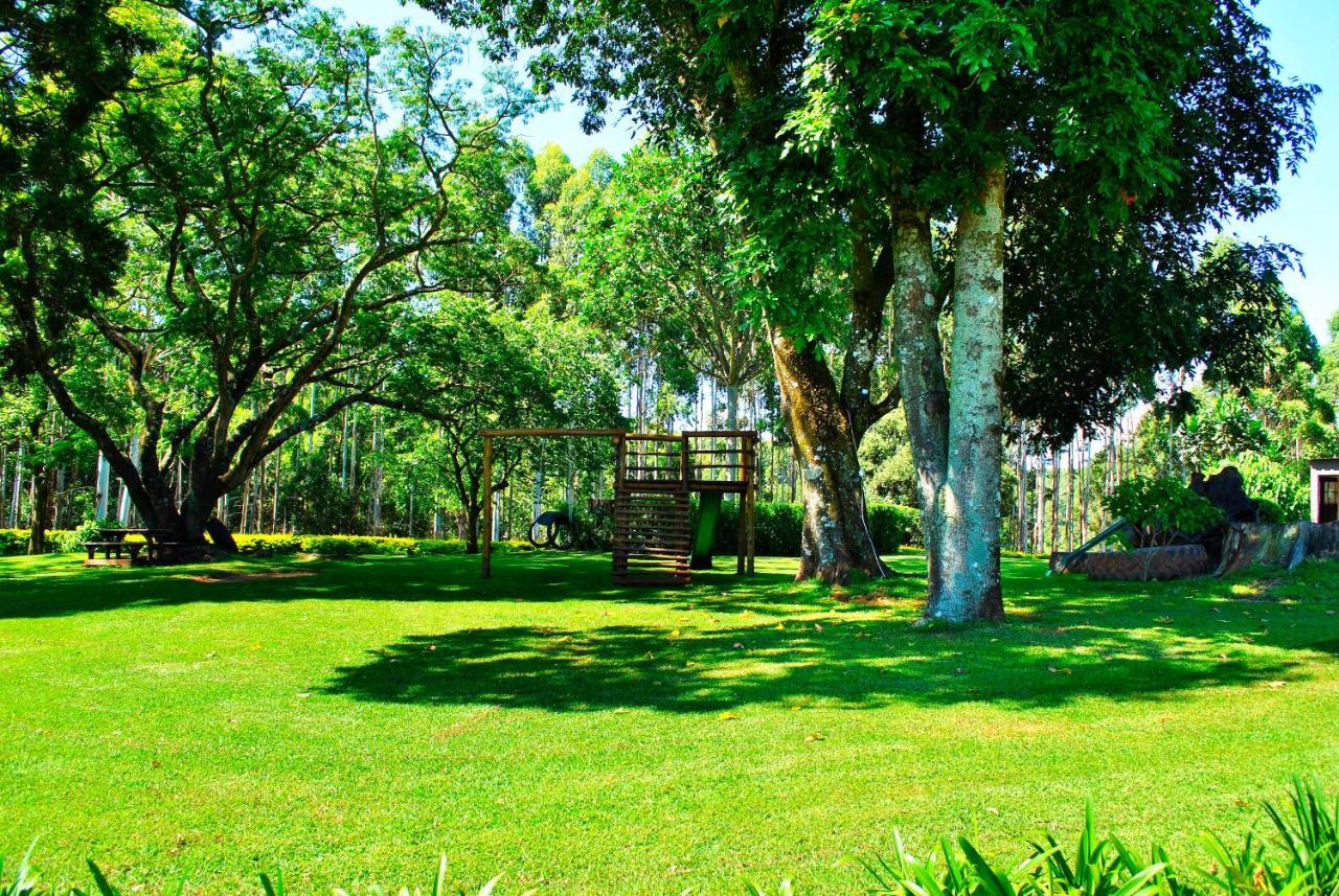 Forest View Cabins Tzaneen Εξωτερικό φωτογραφία