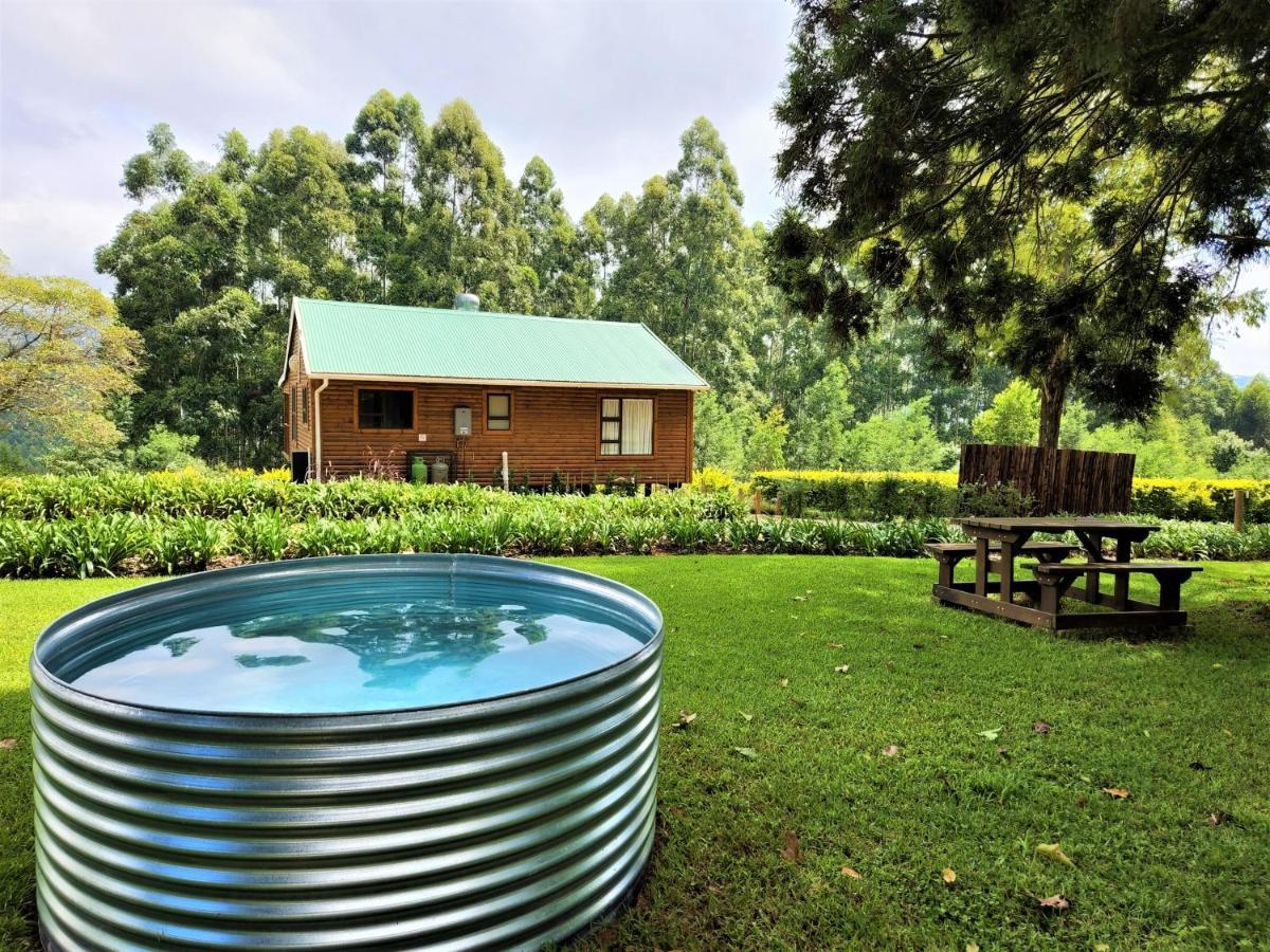 Forest View Cabins Tzaneen Εξωτερικό φωτογραφία